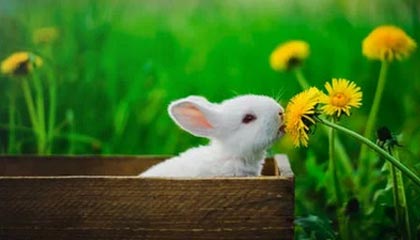 皇冠体育-马拉多纳律师：护理工作有重大失职 我要发起调查